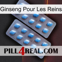 Ginseng For Kidney viagra4